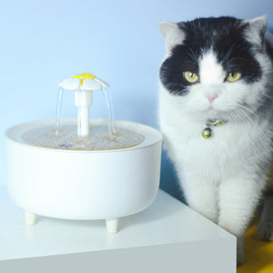 Revolutionize Your Pet's Hydration Routine