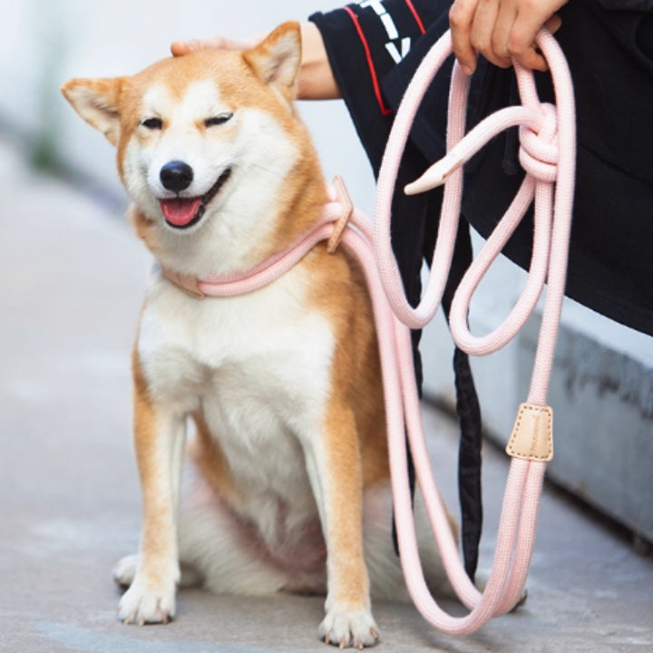 Pet Multi-Functional Chest Harness Adjustable Anti-Burst Leash
