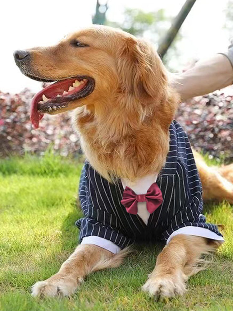 Warm Winter Coat Large Pet Jacket