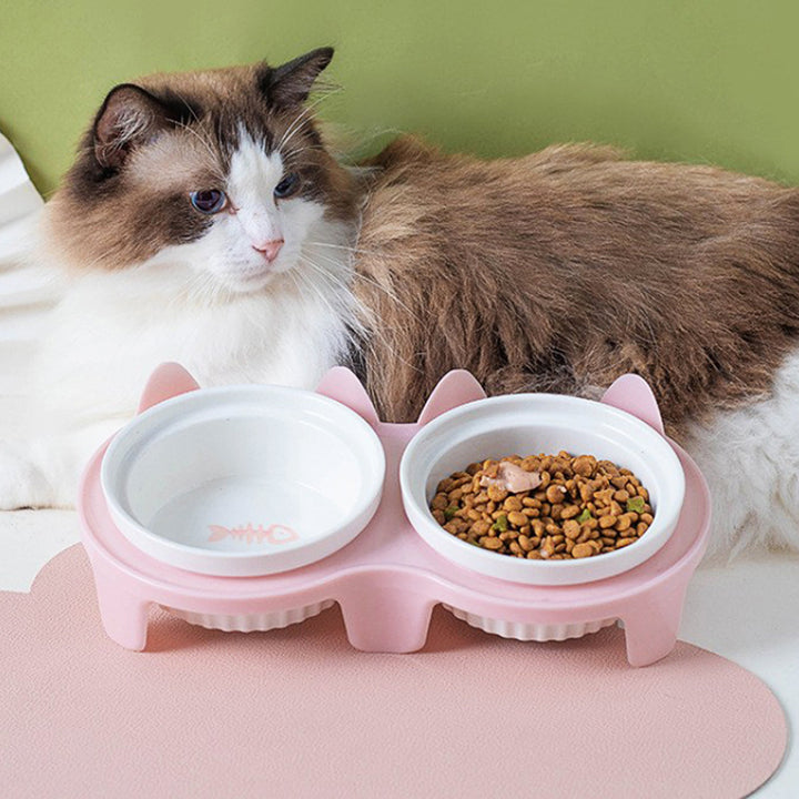 Elevated Tilted Ceramic Double Pet Bowl