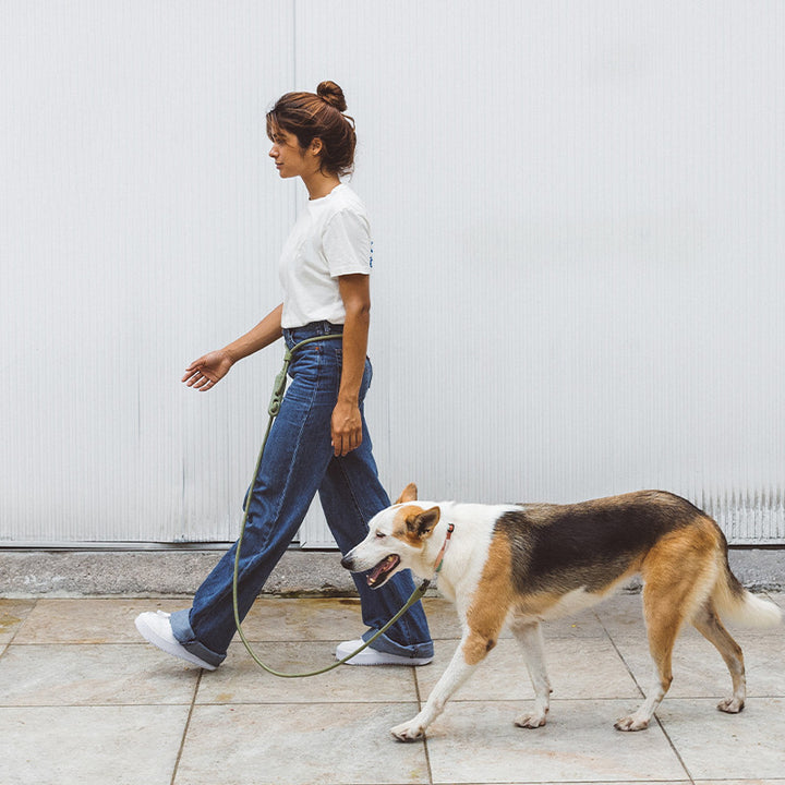 Fashionable Minimalist Pet Slant Leash