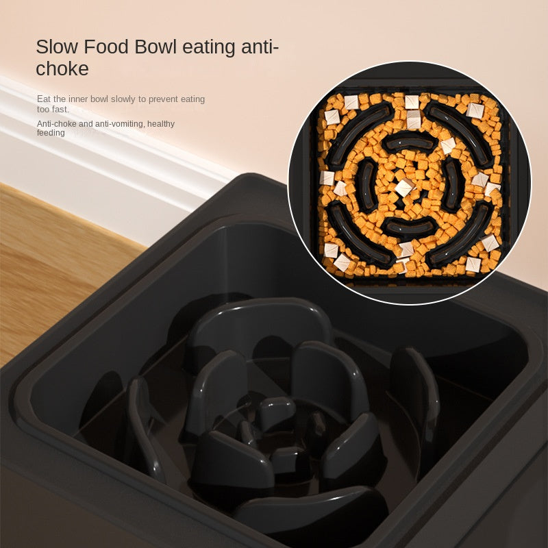 Adjustable Elevated Double Pet Bowl with Stainless Stand
