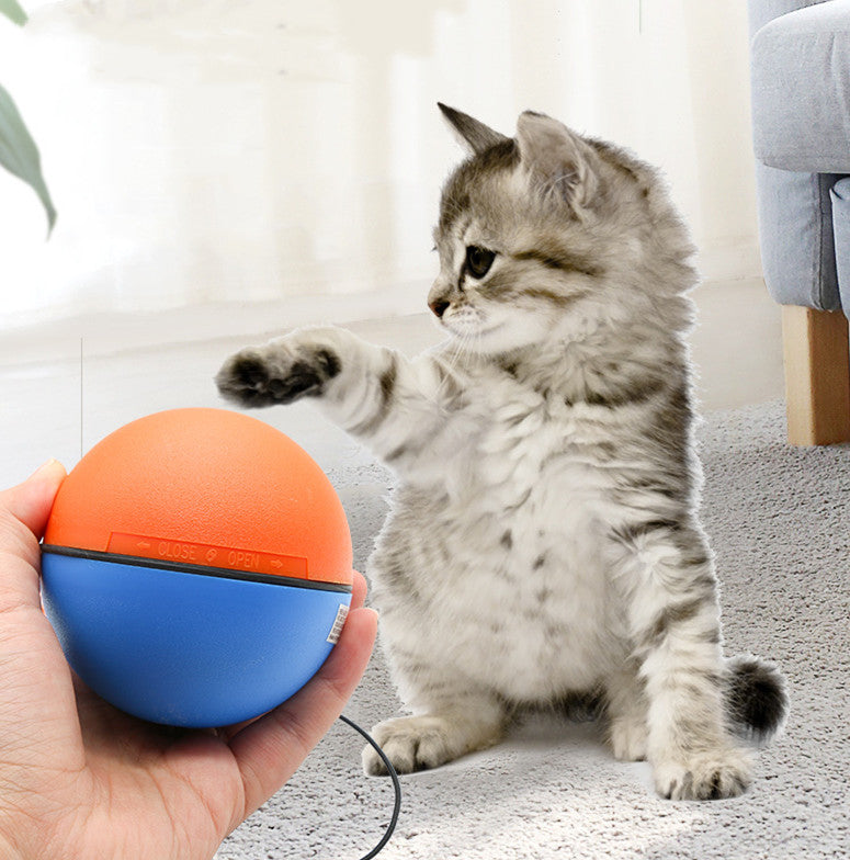 Automatic Interactive Teeth Grinding Toy Ball for Pets