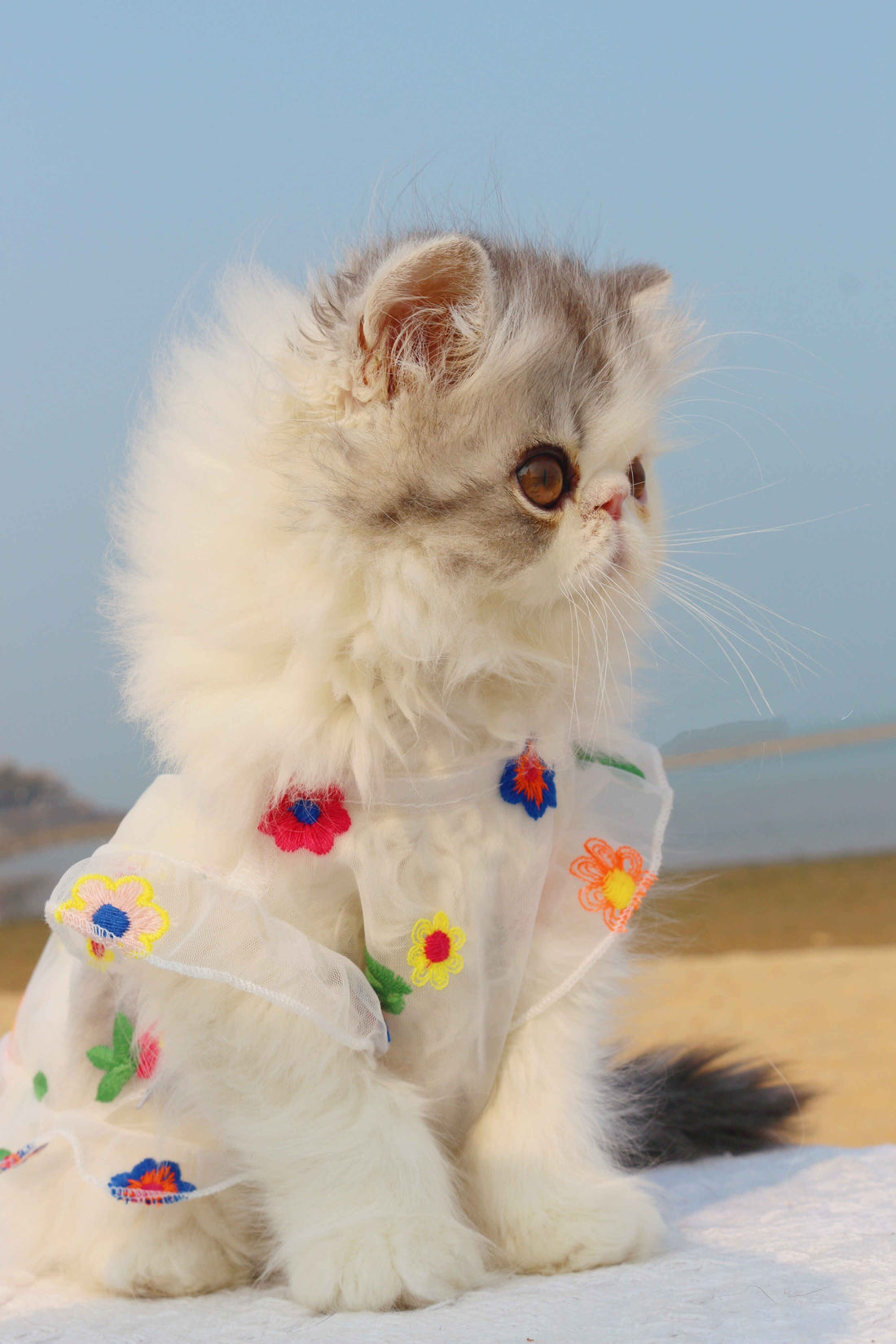 Mesh Flower Embroidered Dress Pet Outfit