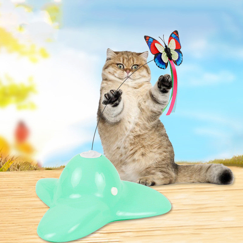 Interactive Educational Toy for Pets