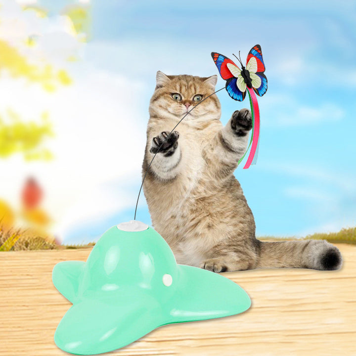 Interactive Educational Toy for Pets