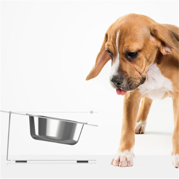 Anti-Spill Elevated Pet Feeding and Water Bowl