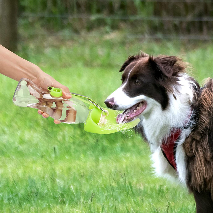 Portable Leakproof Pet Water Dispenser with Bowl