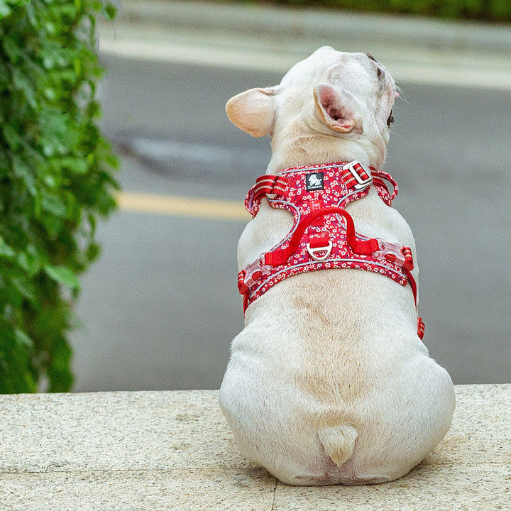 Vest Style Pet Leash With Chest Harness