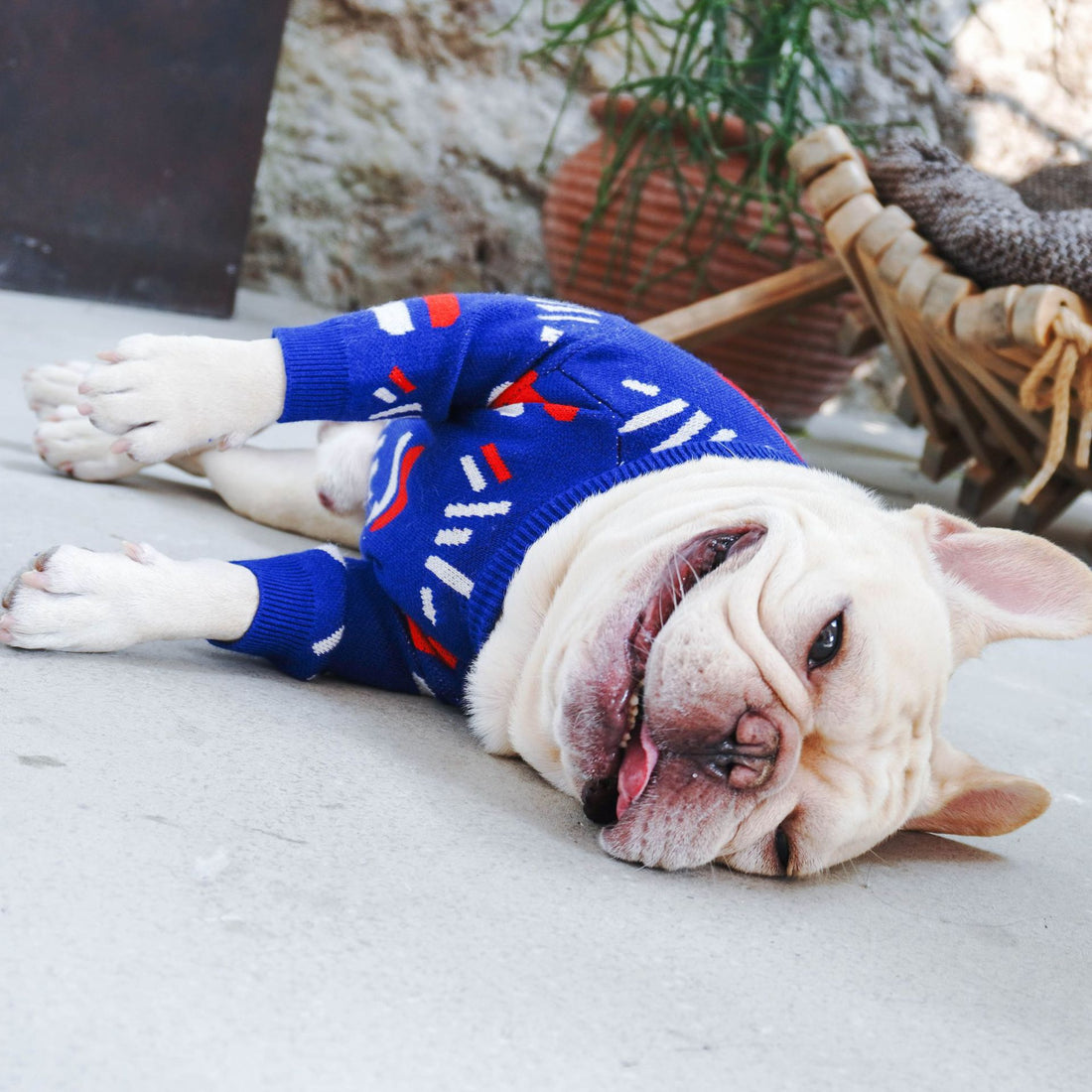 Knitted Sweater Cozy Winter Pet Wear