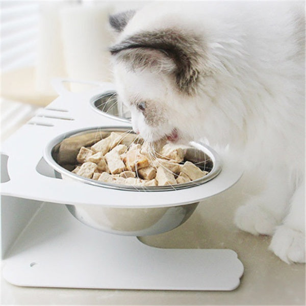 Anti-Spill Elevated Pet Feeding and Water Bowl