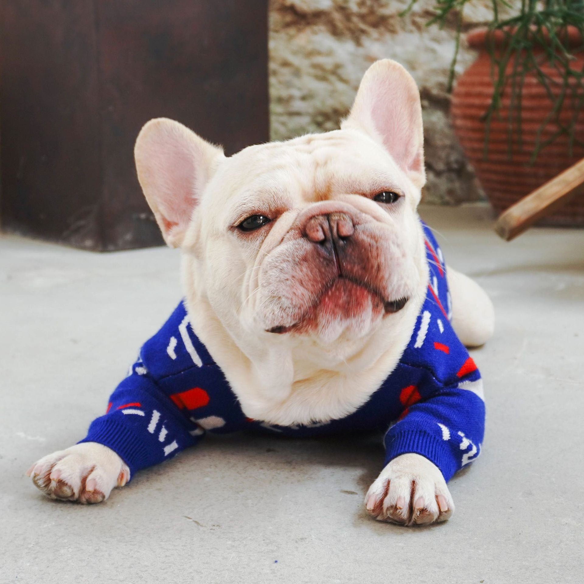 Knitted Sweater Cozy Winter Pet Wear