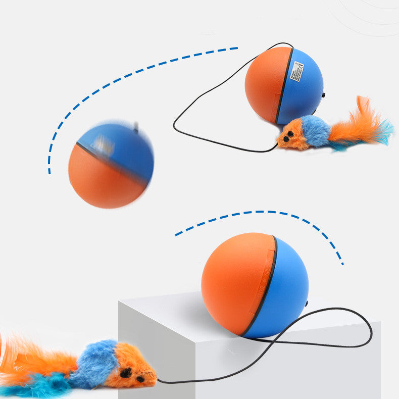 Automatic Interactive Teeth Grinding Toy Ball for Pets