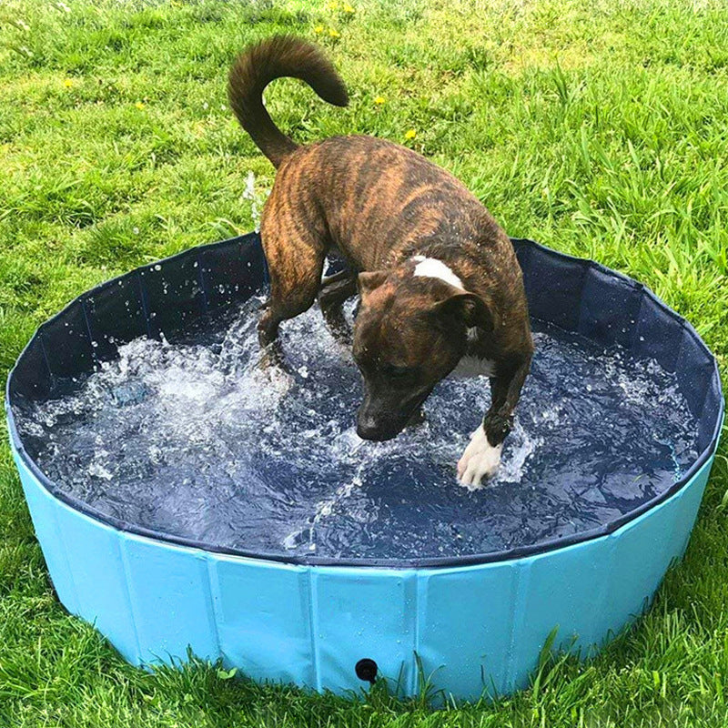 Foldable Pet Bath and Swimming Pool for Indoor Outdoor Use