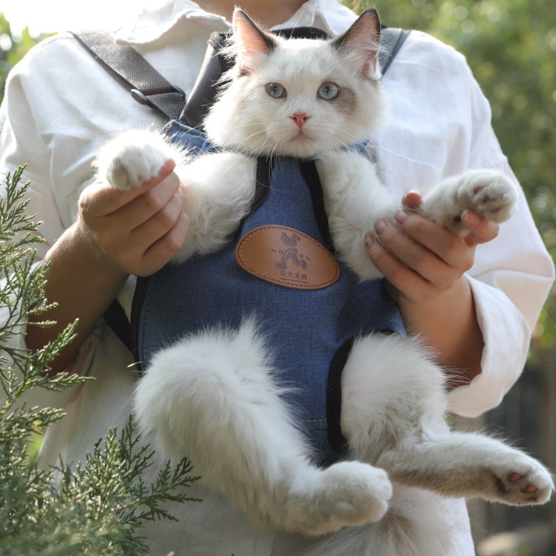 Portable Pet Backpack Lightweight Spring Outing Carrier