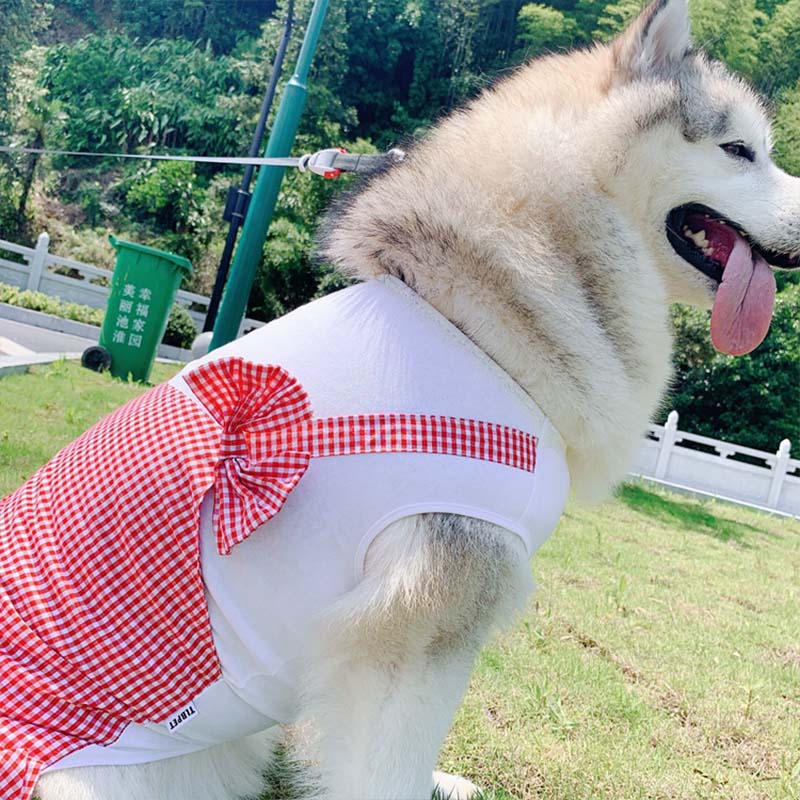 Princess Pet Costume Outfit for Large Breeds