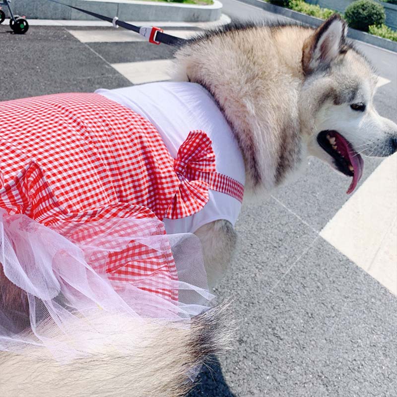 Princess Pet Costume Outfit for Large Breeds