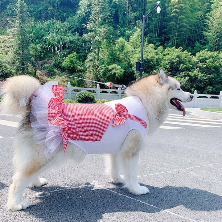 Princess Pet Costume Outfit for Large Breeds