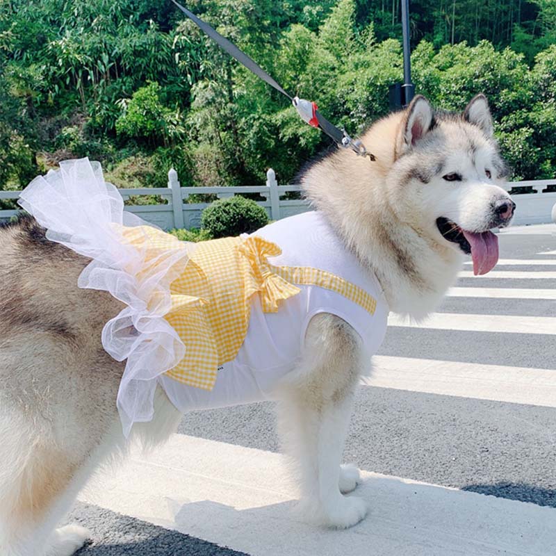 Princess Pet Costume Outfit for Large Breeds