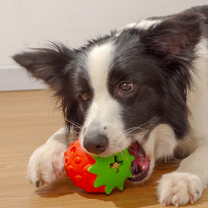 Bite-Resistant Teeth Cleaning Ball Toy for Pets