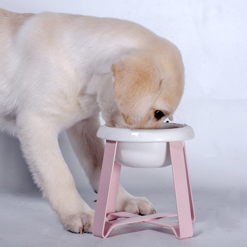 2-in-1 Elevated Pet Bowl with Anti-Slip Design and Stand