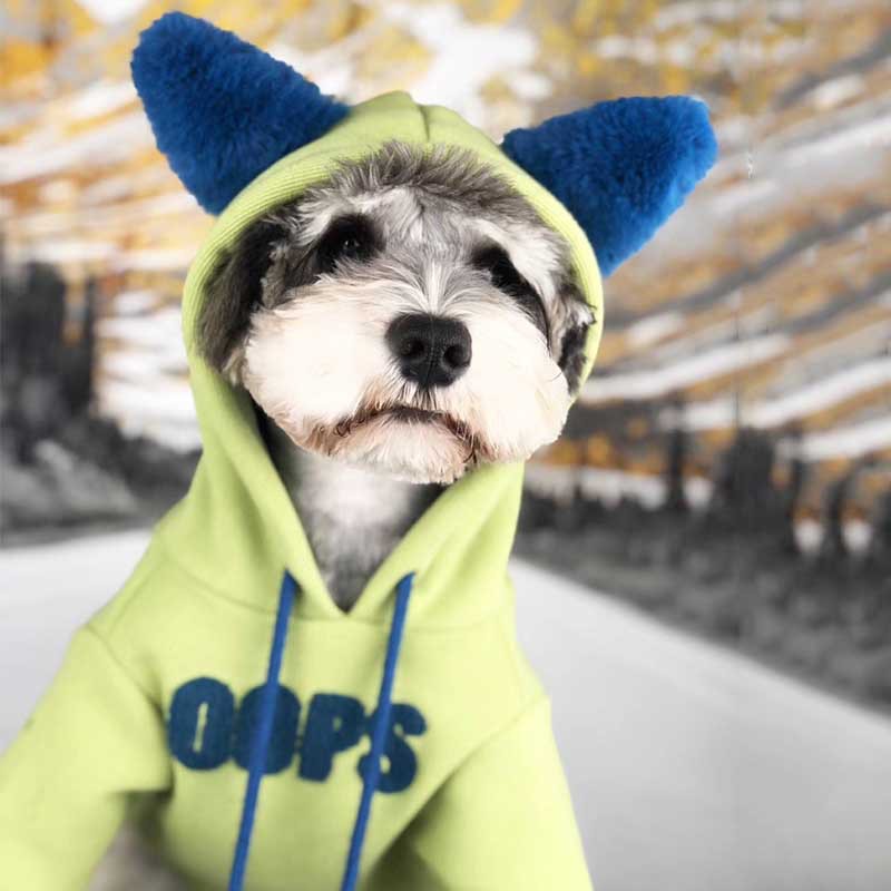 Autumn Winter Cotton Pet Sweater for Small Breeds