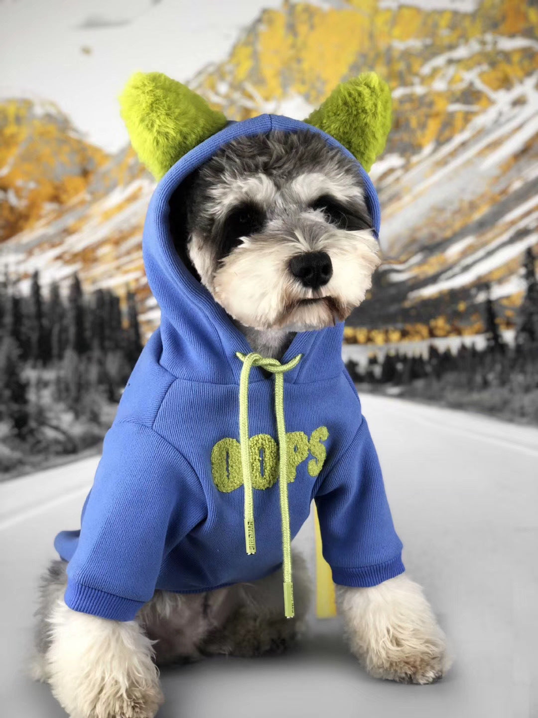 Autumn Winter Cotton Pet Sweater for Small Breeds