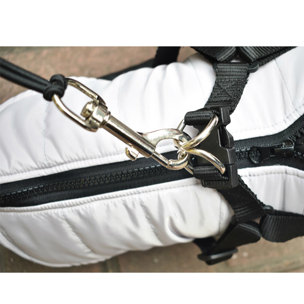 Stainless Steel Pet Bike Leash Safe Durable Design