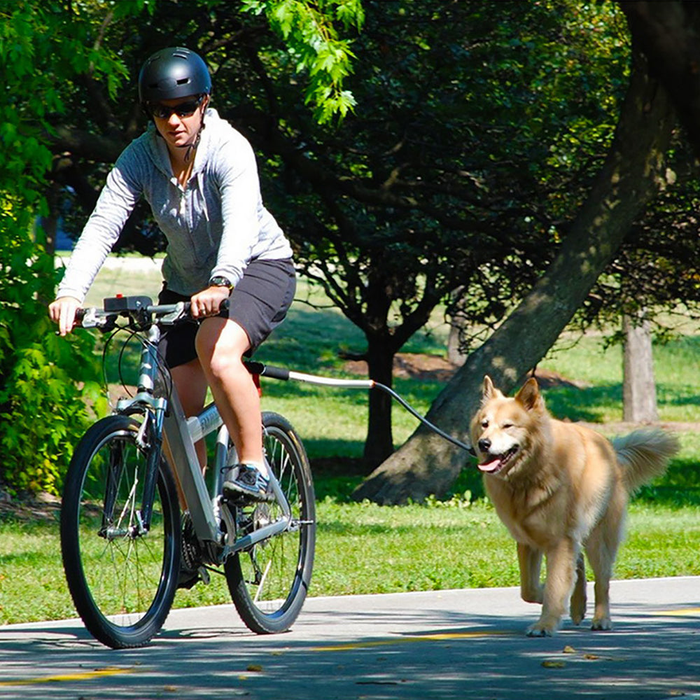 Stainless Steel Pet Bike Leash Safe Durable Design