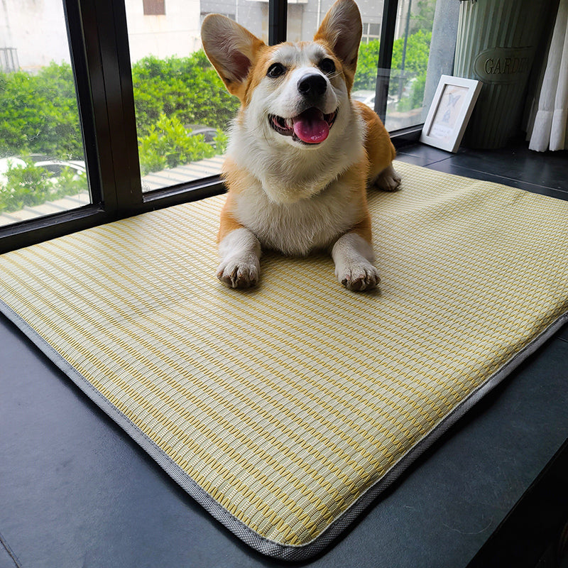 Cooling Anti-Bite Summer Pet Mat with Non-Slip Surface