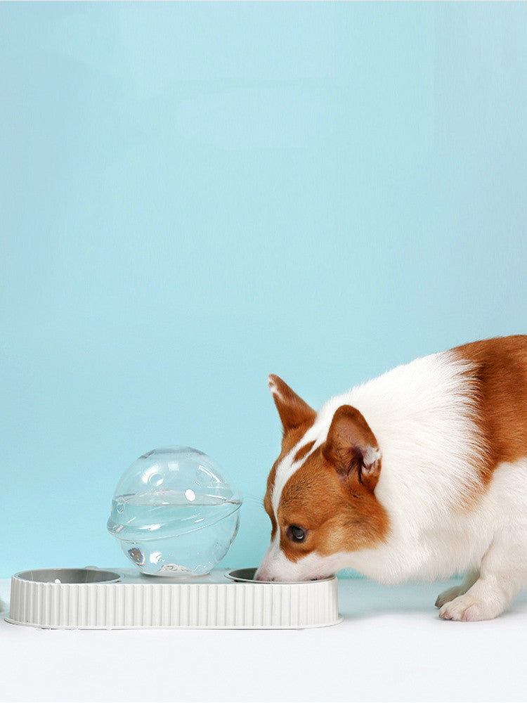 Automatic Plastic Water and Food Bowl for Pets