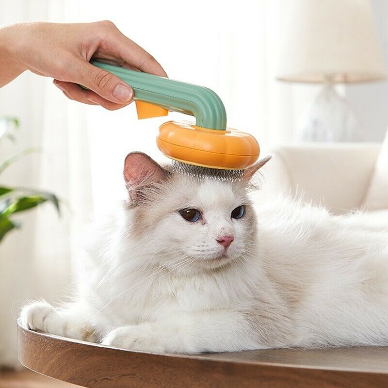 Pet Pumpkin Self-Cleaning Slicker Brush for Hair Removal
