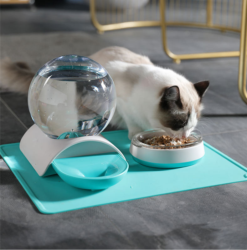 Pet Feeding and Watering Station