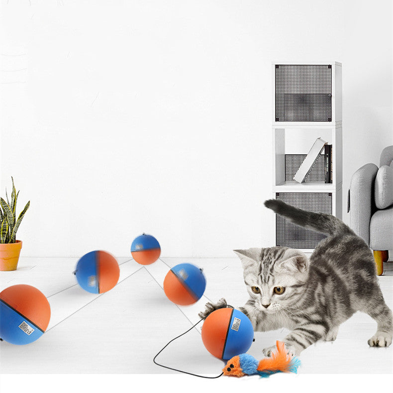 Automatic Interactive Teeth Grinding Toy Ball for Pets