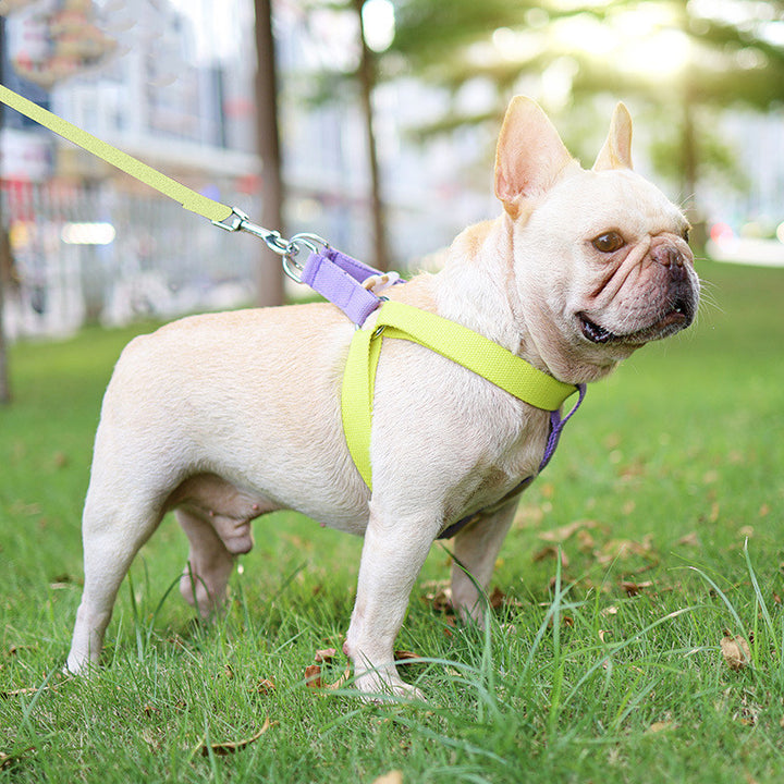 Colorful Pet Drawstring Vest Harness Leash