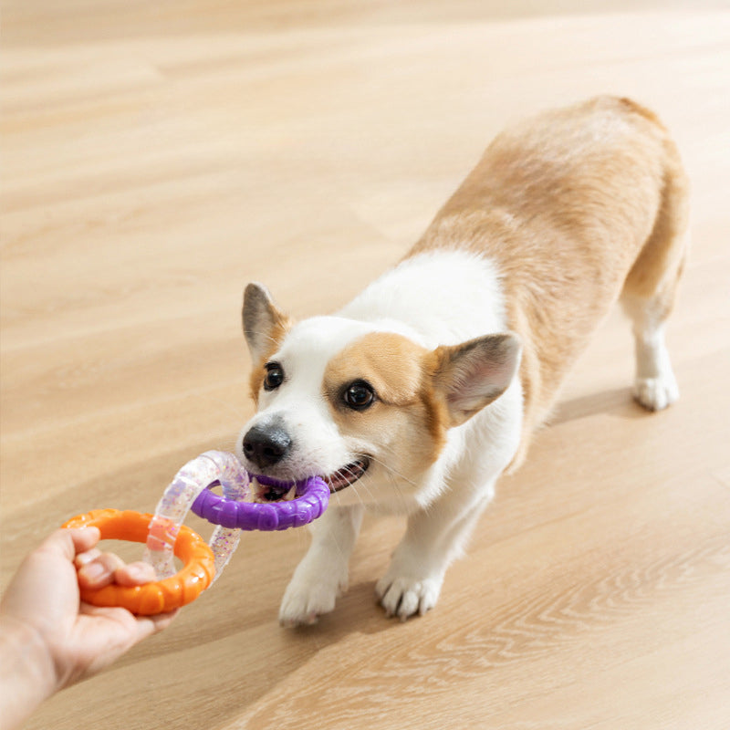 Floating Durable Water Flying Disk Toy for Pets