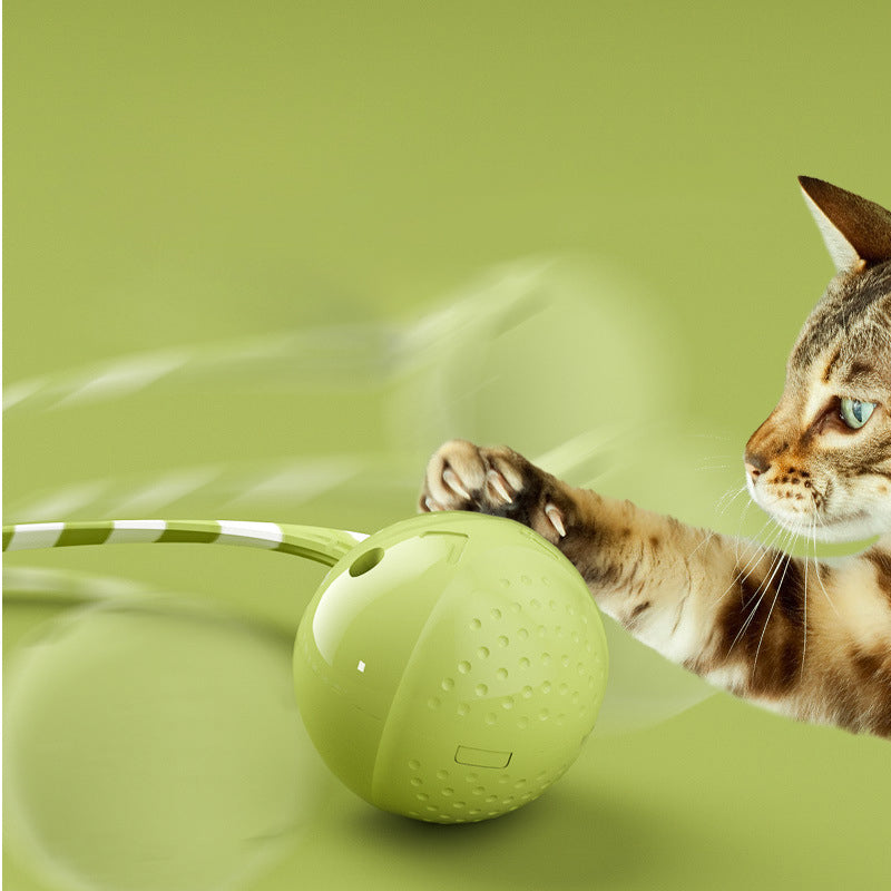 Interactive Motion-Activated Pet Ball Toy With Sensor