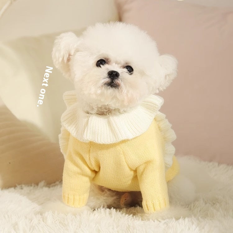 Autumn Knit Sweater for Small Pets