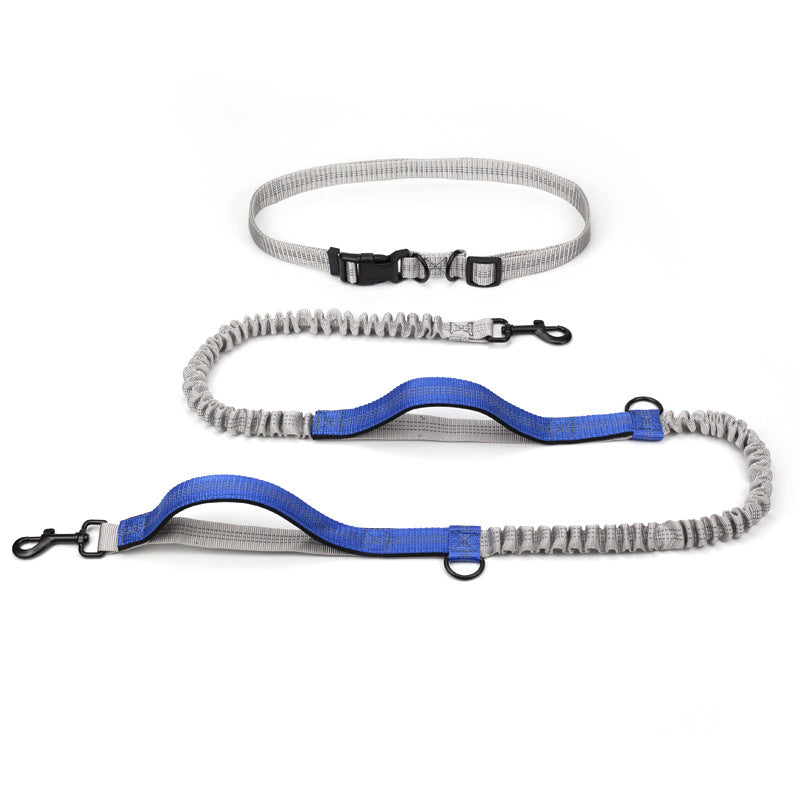 Outdoor Running Pet Leash Durable Adjustable Design