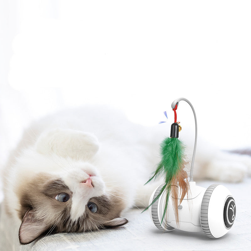 Interactive Feather Toy with Interchangeable Heads for Pets