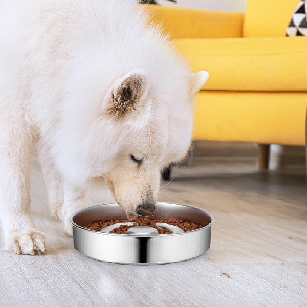 Slow-Feeding Stainless Steel Pet Bowl with Neck Guard