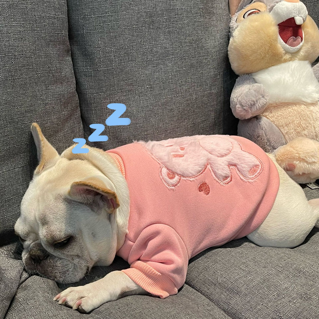 Plush Princess Sweater Soft Pet Clothing