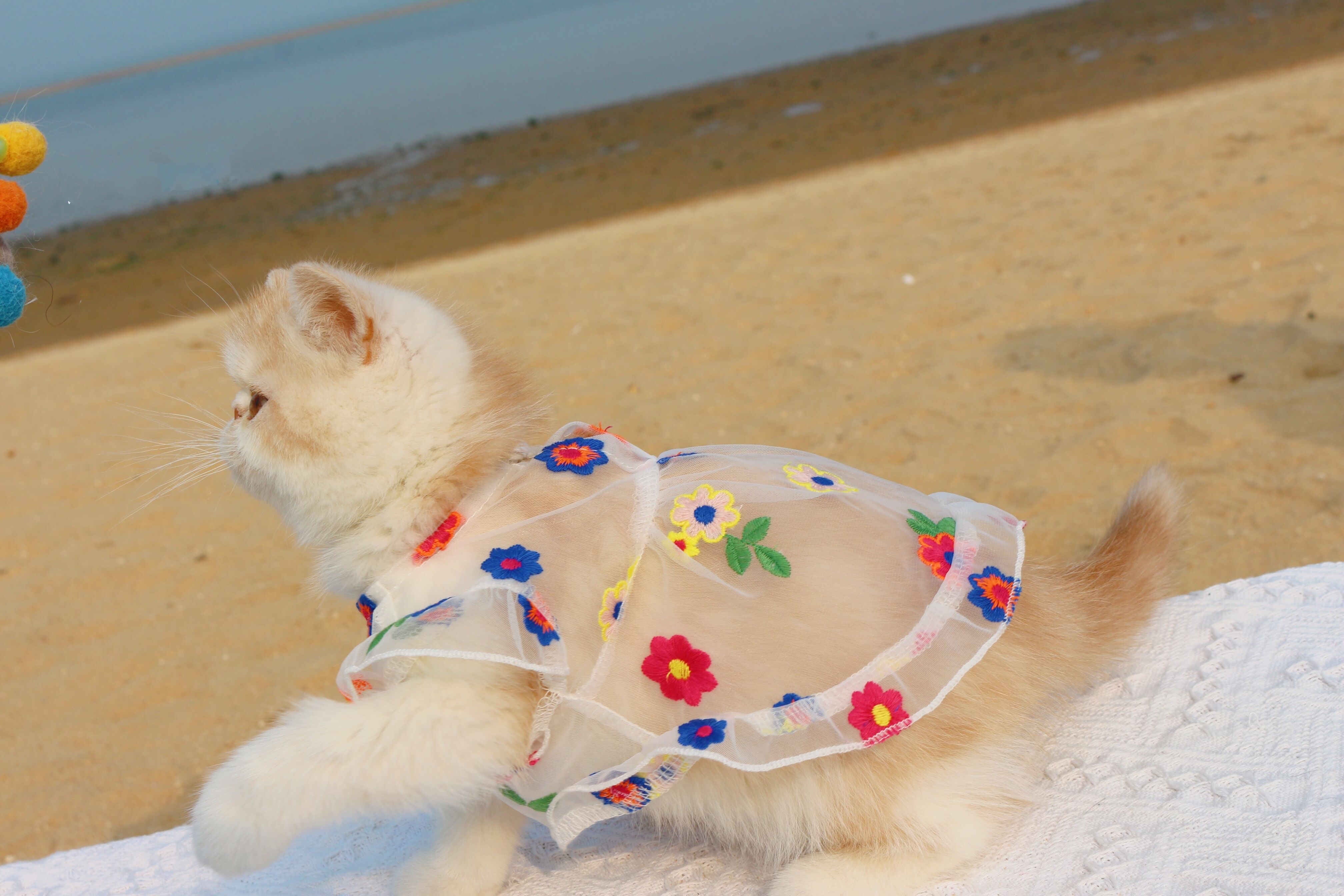 Mesh Flower Embroidered Dress Pet Outfit