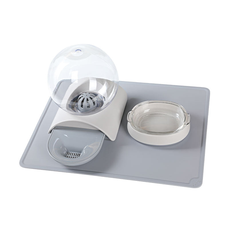 Pet Feeding and Watering Station