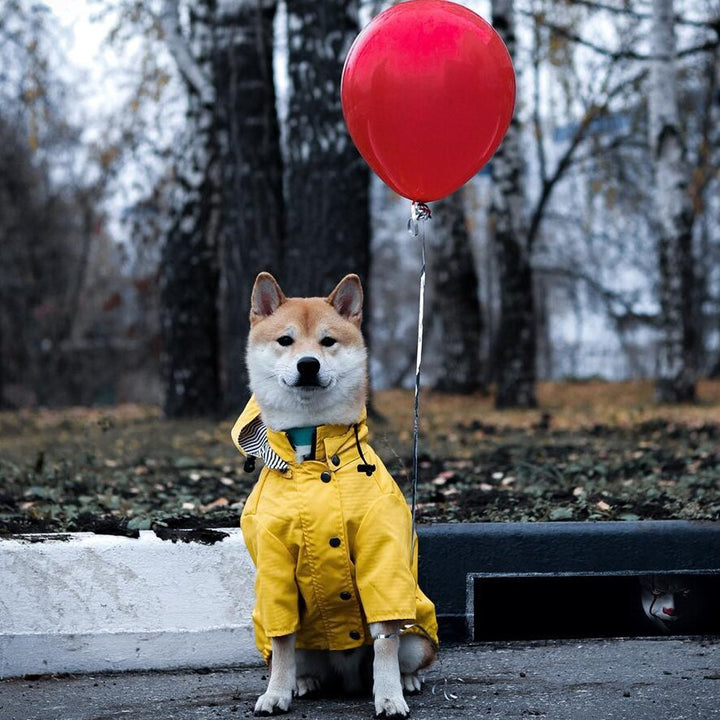 Waterproof Raincoat Jacket for Pets