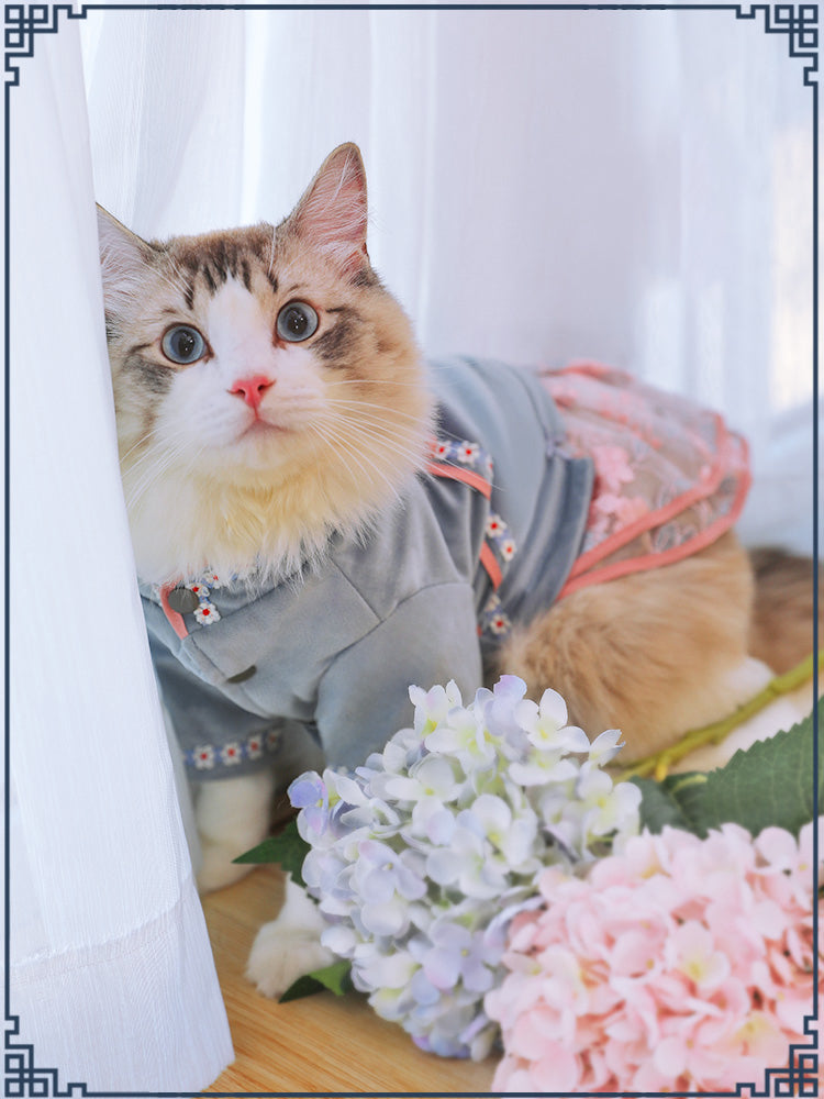 Comfortable Clothing Outfit for Pets
