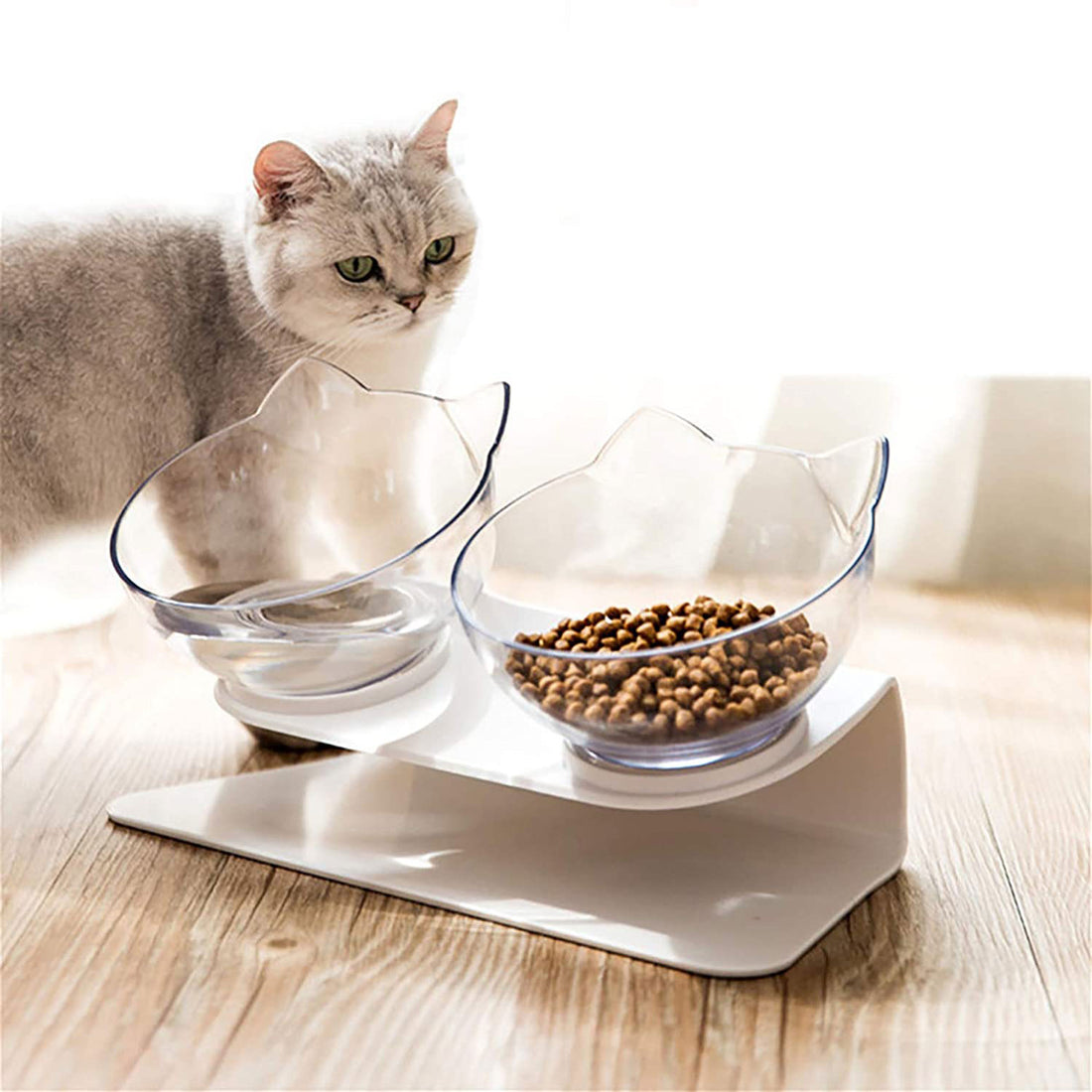 Non-Slip Elevated Double Pet Bowl for Spine Protection