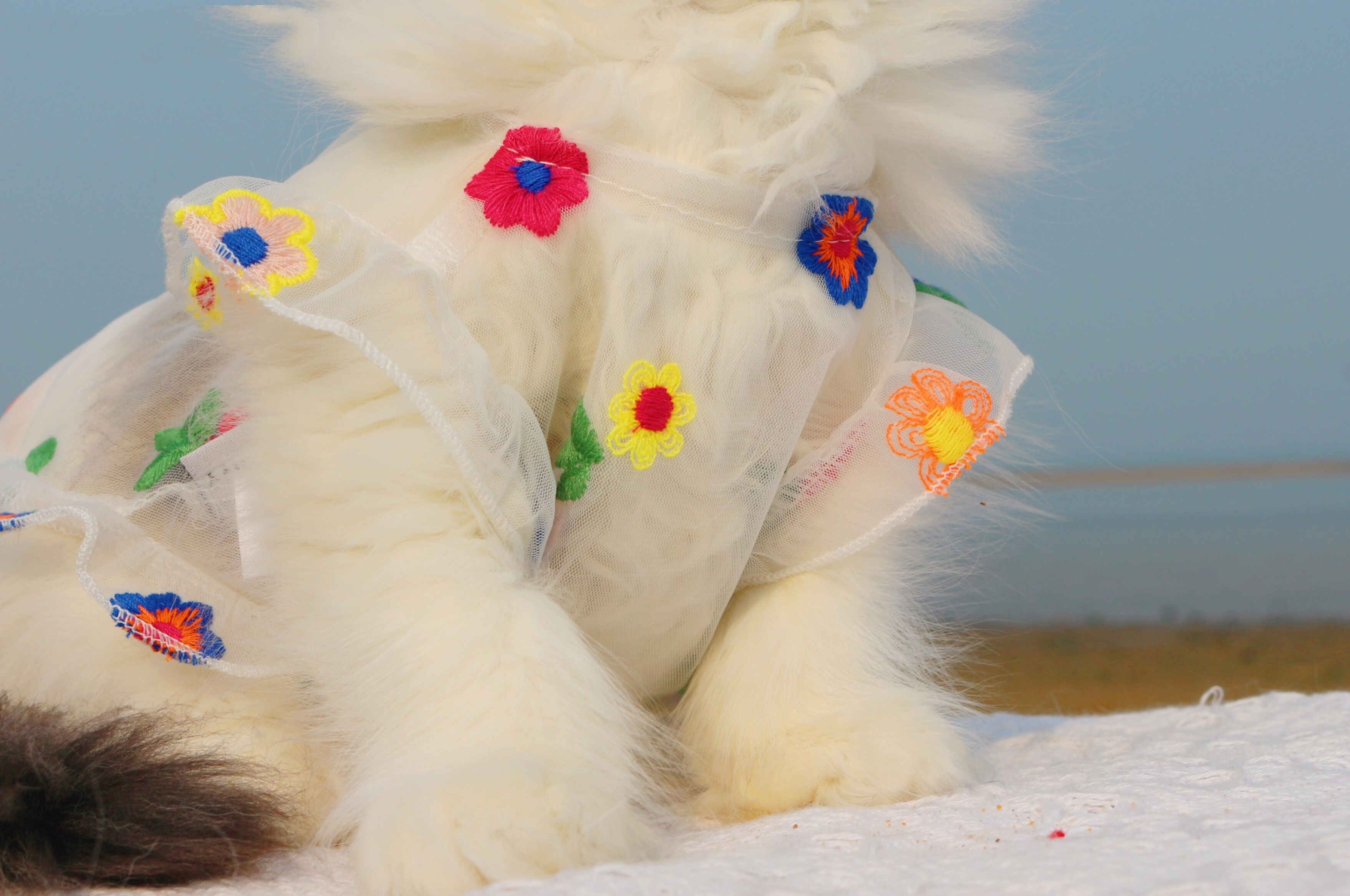 Mesh Flower Embroidered Dress Pet Outfit
