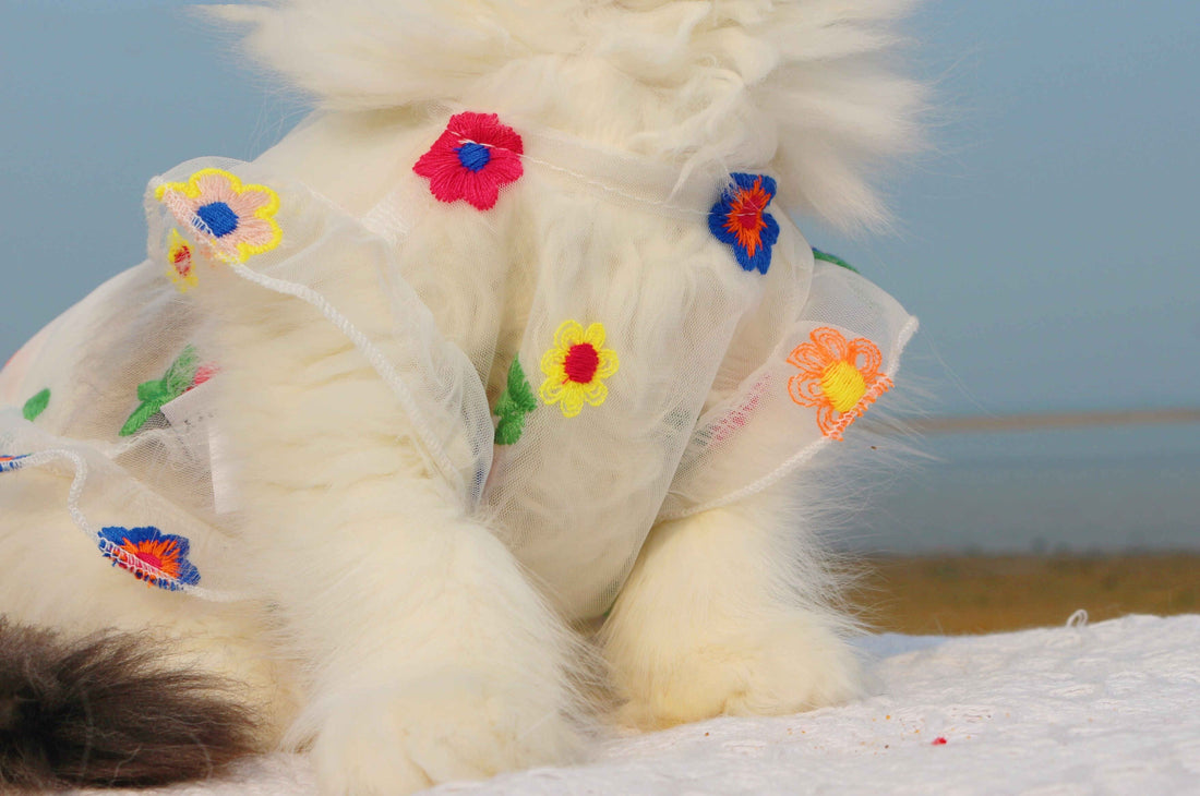 Mesh Flower Embroidered Dress Pet Outfit