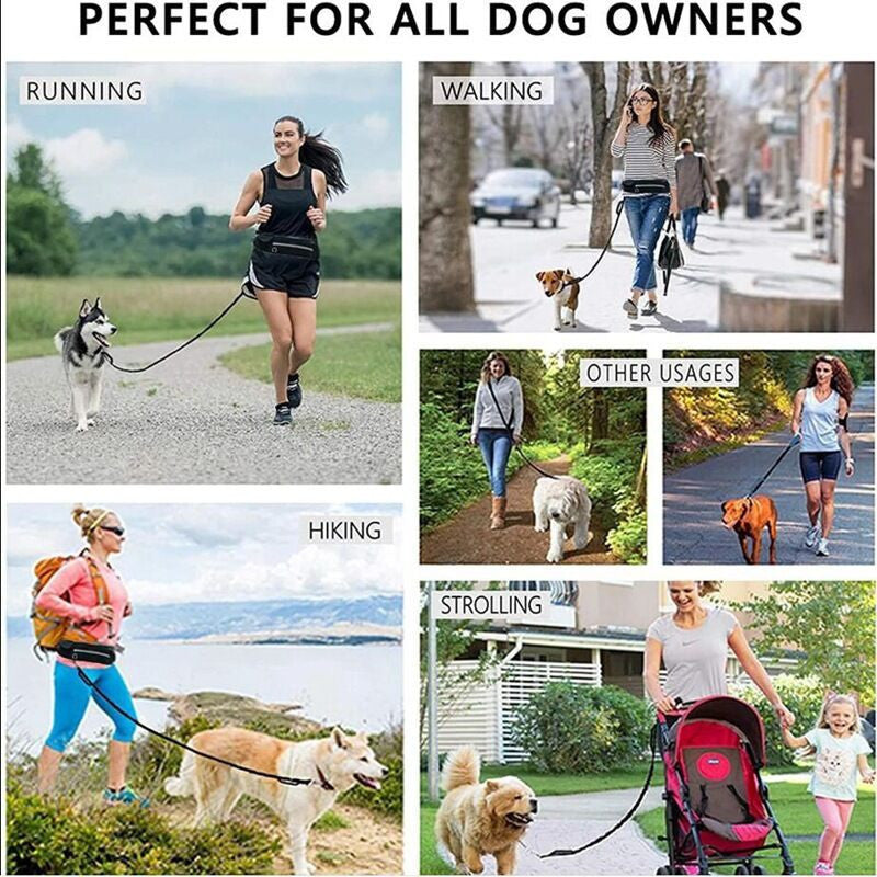 Pet Purse Leash Convenient Design For Walking